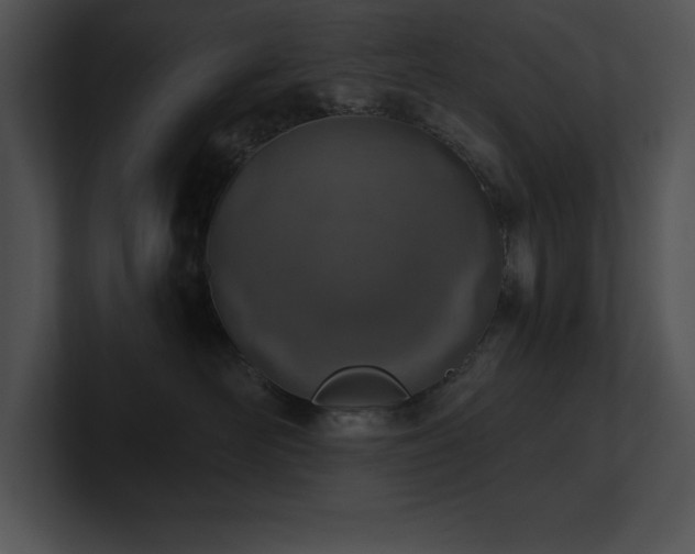 X0000100900526200806241255