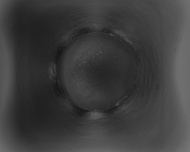 X0000100900528200806241255
