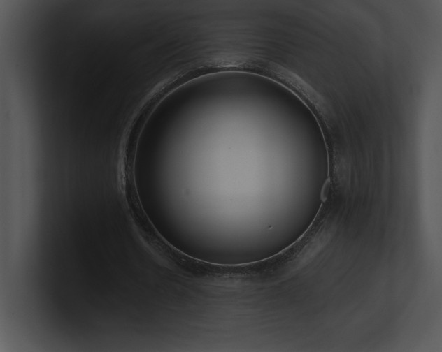 X0000100900530200806241254
