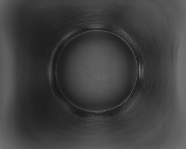 X0000100900531200806241254