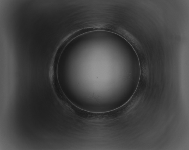 X0000100900532200806241254