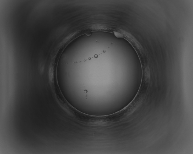X0000100900533200806241254