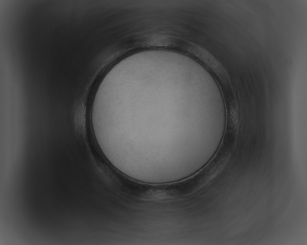 X0000100900534200806241254