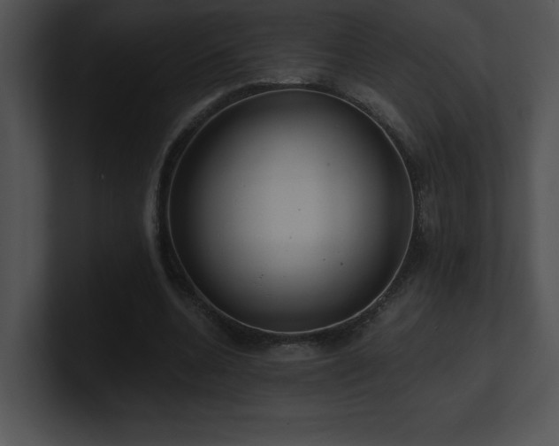 X0000100900536200806241254
