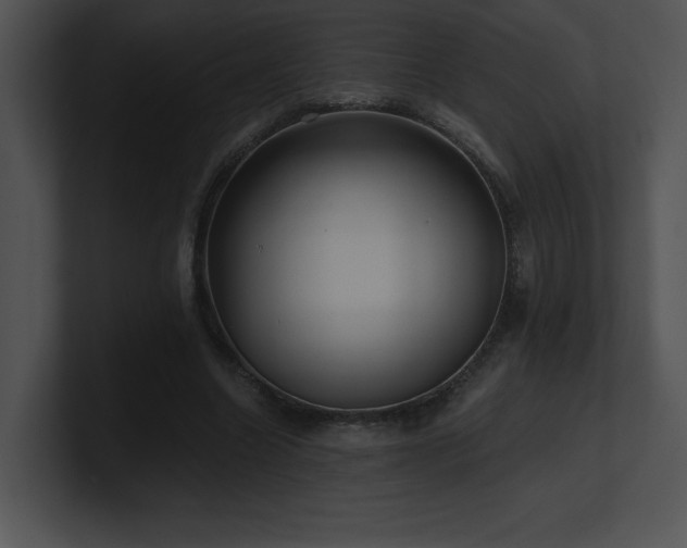 X0000100900538200806241254