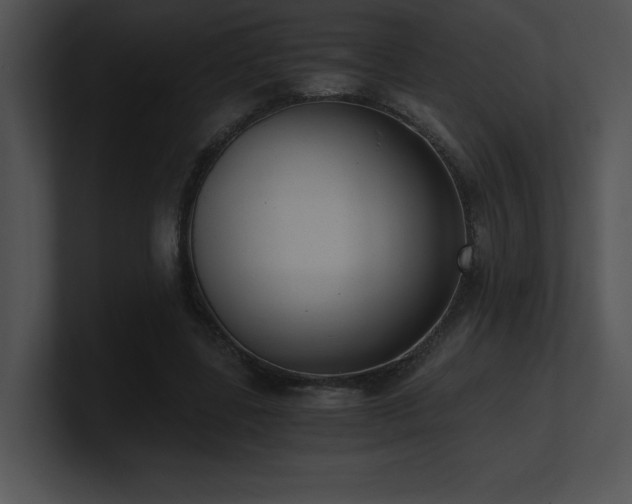X0000100900539200806241254