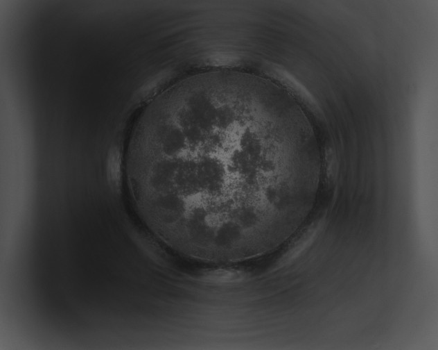 X0000100900542200806241254
