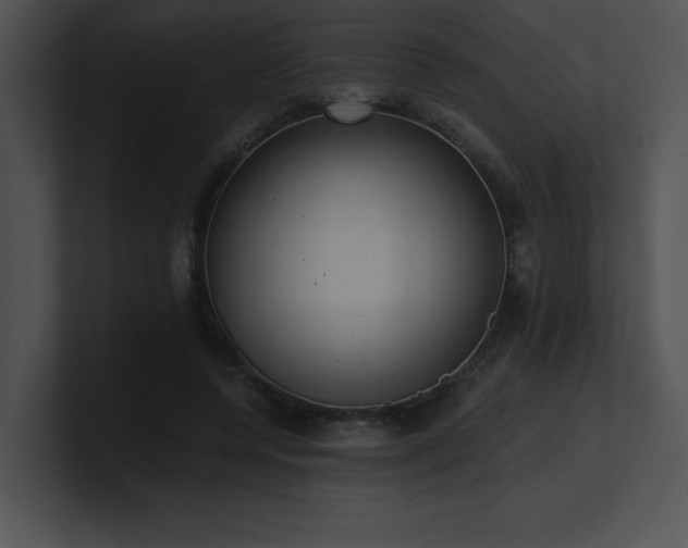 X0000100900544200806241254