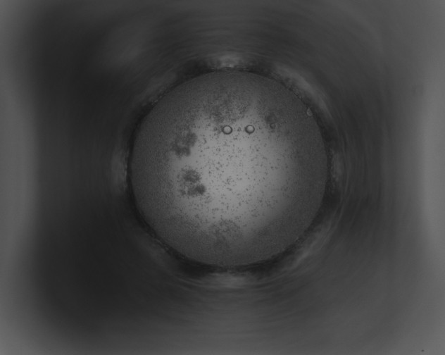 X0000100900545200806241254