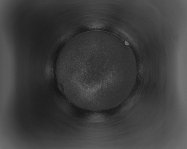 X0000100900547200806241254