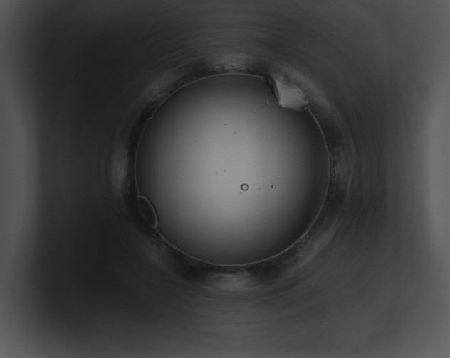 X0000100900548200806241254