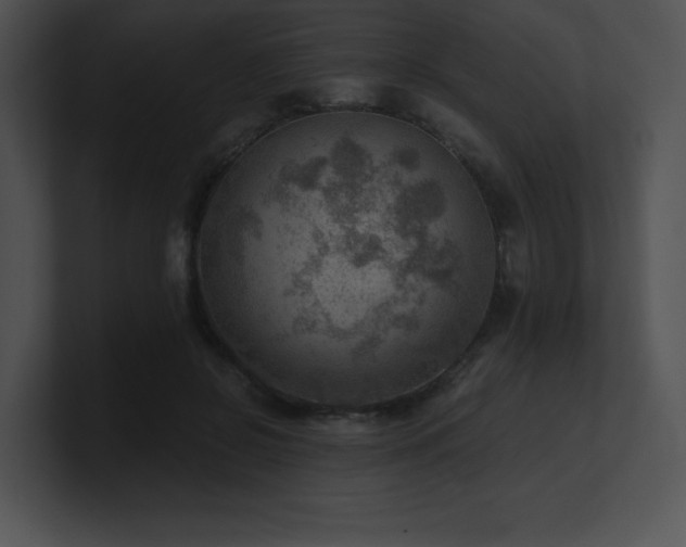 X0000100900550200806241254