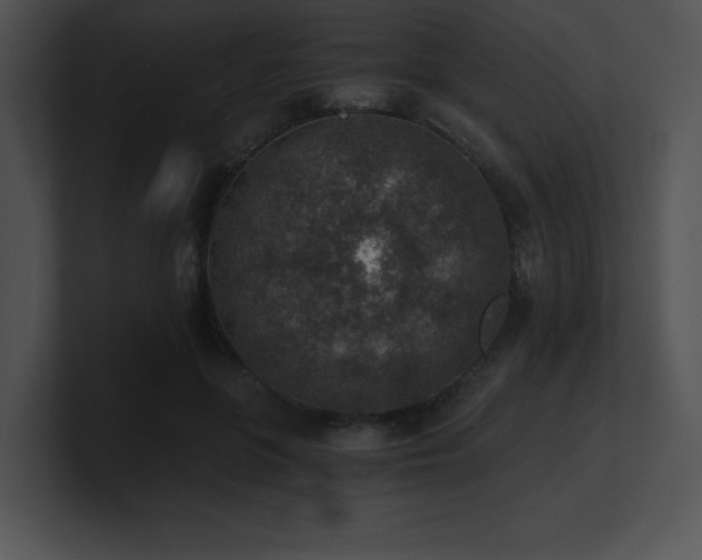 X0000100900551200806241254