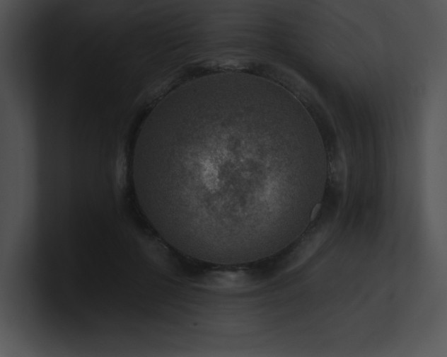 X0000100900552200806241254