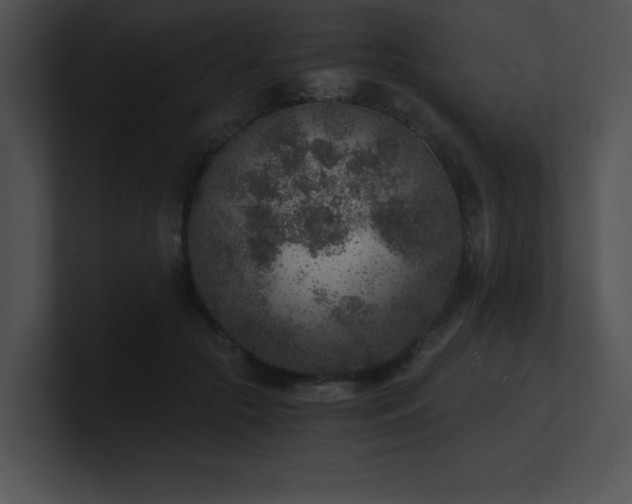 X0000100900553200806241254