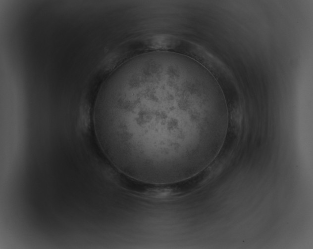 X0000100900554200806241254