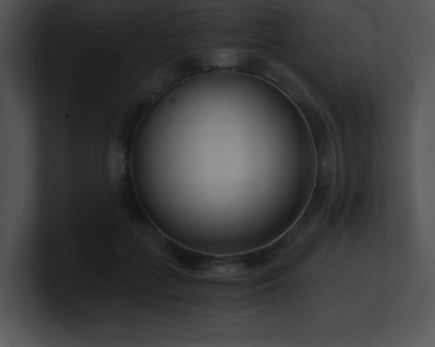 X0000100900555200806241254