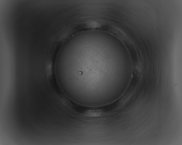 X0000100900556200806241254