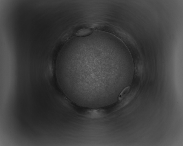 X0000100900558200806241254