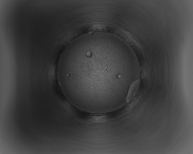 X0000100900560200806241254
