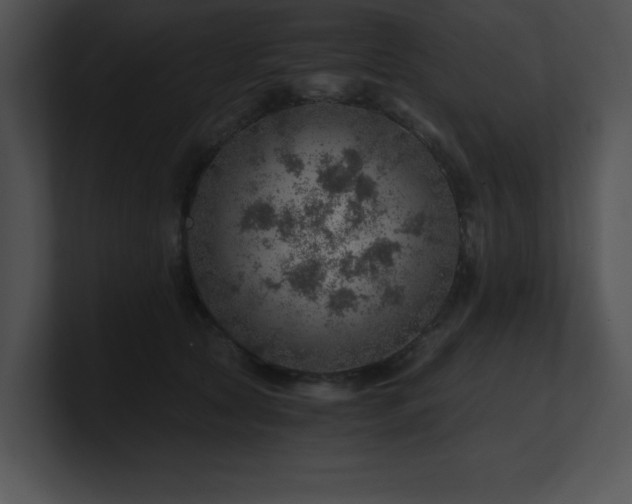 X0000100900561200806241254