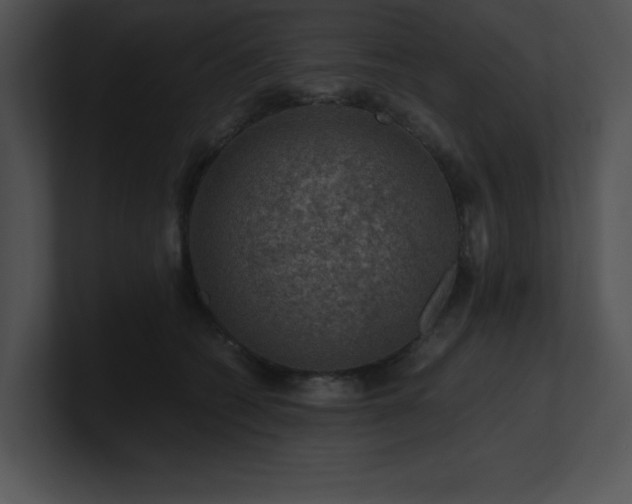 X0000100900562200806241254