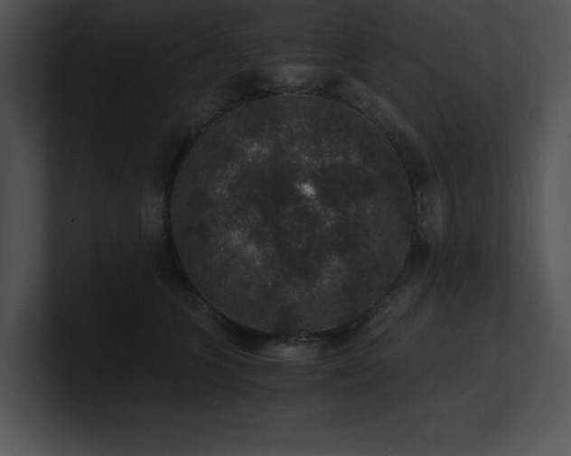 X0000100900563200806241254