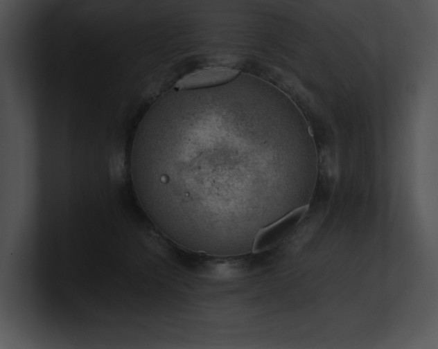 X0000100900564200806241255