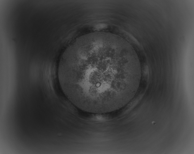 X0000100900565200806241255