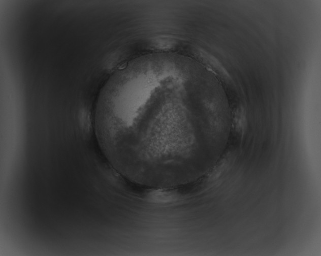 X0000100900568200806241255