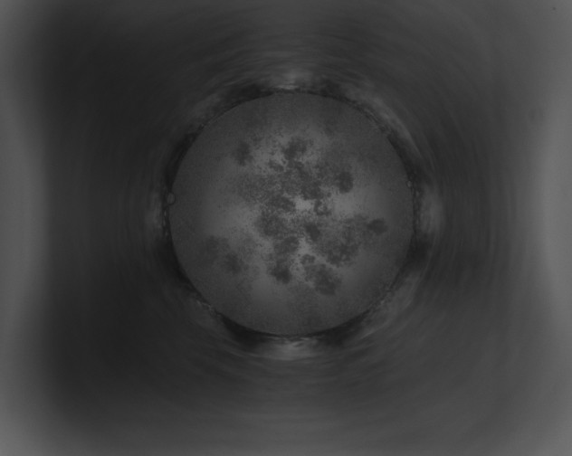 X0000100900569200806241255
