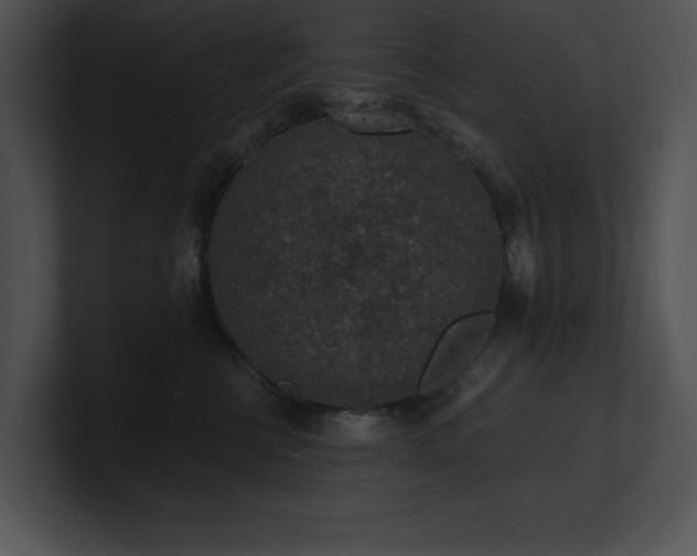 X0000100900570200806241255