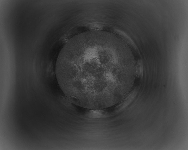 X0000100900573200806241255