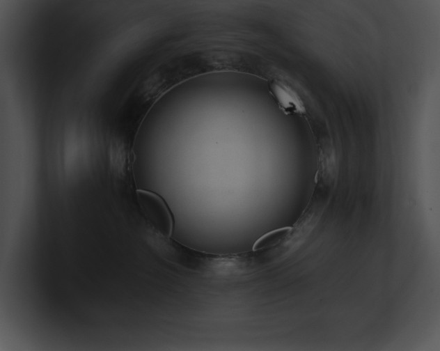 X0000100900574200806241255