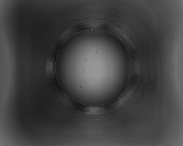 X0000100900575200806241255