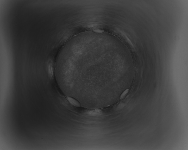 X0000100900576200806241255