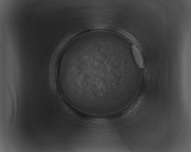 X0000100900577200806241254