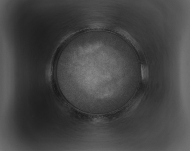 X0000100900579200806241254