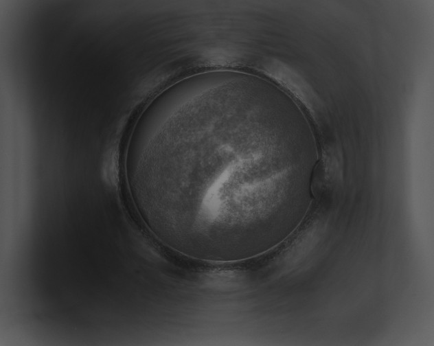 X0000100900581200806241254