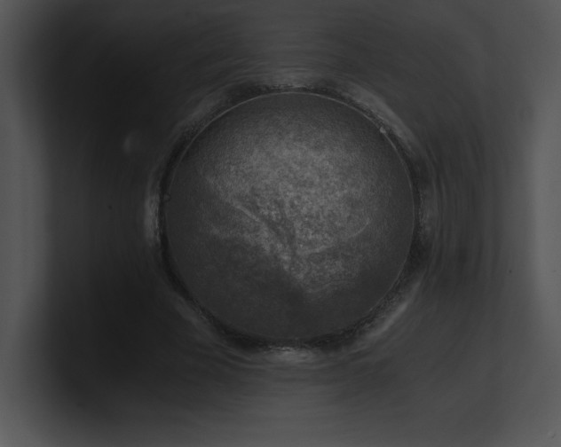 X0000100900585200806241254