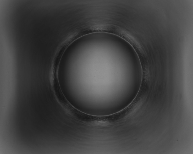 X0000100900586200806241254