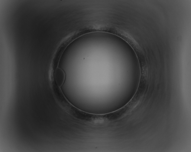 X0000100900587200806241254