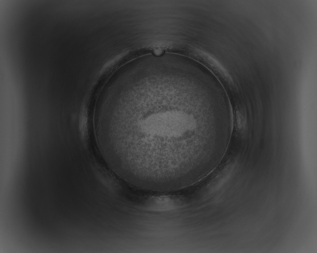 X0000100900588200806241254