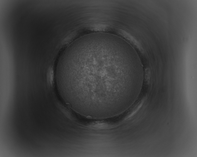X0000100900589200806241254