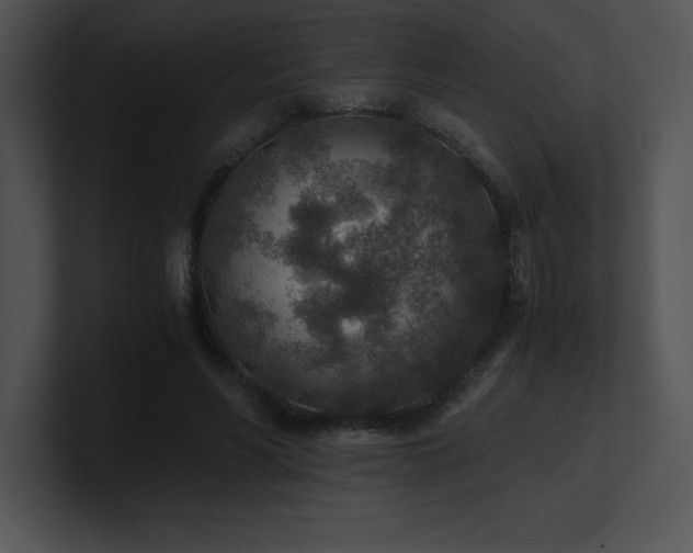 X0000100900590200806241254