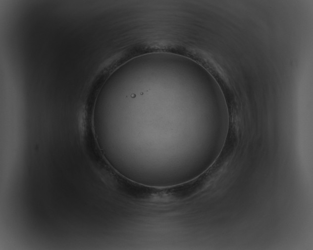 X0000100900591200806241254