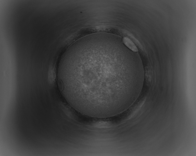 X0000100900593200806241254