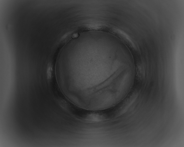 X0000100900596200806241254