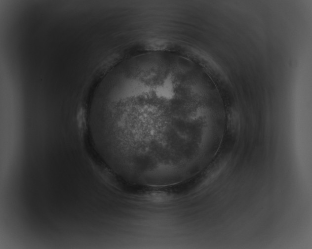 X0000100900598200806241254
