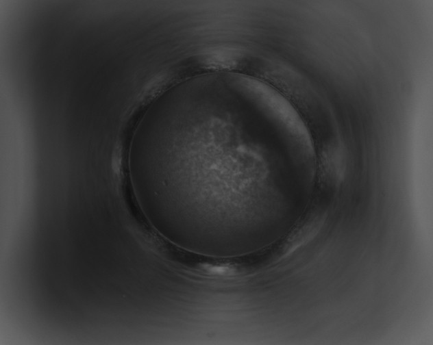 X0000100900600200806241254